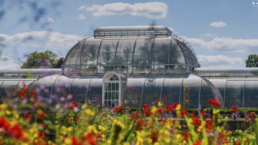 Palm House at Kew Gardens